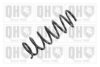 VOLVO 30736521 Coil Spring